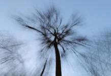 Загадочное исчезновение Усольцевых из Красноярского края вблизи Ярцево zagadochnoe ischeznovenie usolczevyh iz krasnoyarskogo kraya vblizi yarczevo-news-blog-ru-0