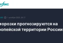 Заморозки ожидаются в Центральном федеральном округе и Сибири в начале октября zamorozki ozhidayutsya v czentralnom federalnom okruge i sibiri v nachale oktyabrya-news-blog-ru-0