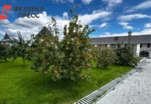 Алексей Текслер отметил успехи инициативного бюджетирования в Челябинской области aleksej teksler otmetil uspehi inicziativnogo byudzhetirovaniya v chelyabinskoj oblasti-news-blog-ru-0