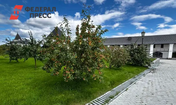 Алексей Текслер отметил успехи инициативного бюджетирования в Челябинской области-0