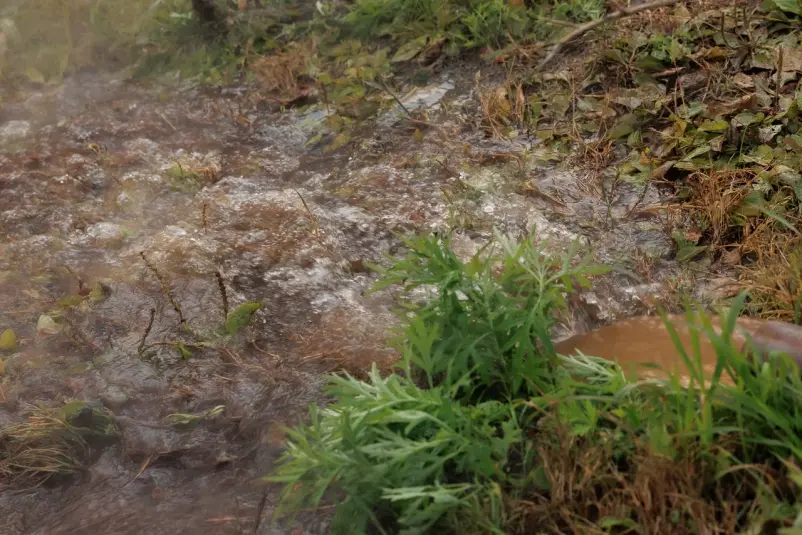 Фото: primamedia.ru