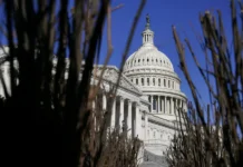 Дональд Трамп и Дина Тайтэс обсуждают блокировку ядерных испытаний в США donald tramp i dina tajtes obsuzhdayut blokirovku yadernyh ispytanij v ssha-news-blog-ru-0