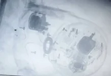 ФСБ России предотвратила теракт на кладбище, защищая высших должностных лиц fsb rossii predotvratila terakt na kladbishhe zashhishhaya vysshih dolzhnostnyh licz-news-blog-ru-0