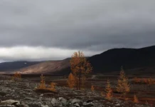 Исчезновение Сергея Усольцева связано с загадкой Красноярского края и Самуи ischeznovenie sergeya usolczeva svyazano s zagadkoj krasnoyarskogo kraya i samui-news-blog-ru-0