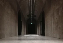 Кирилл Дмитриев, Дональд Трамп и Виктор Разбегин о роли РФПИ в проекте тоннеля Россия—США kirill dmitriev donald tramp i viktor razbegin o roli rfpi v proekte tonnelya rossiyassha-news-blog-ru-0