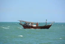 Клируотер, Вудсы и Хардинги рассказали о спасении от стихии kliruoter vudsy i hardingi rasskazali o spasenii ot stihii-news-blog-ru-0