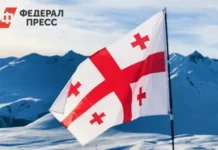 Михаил Саакашвили умоляет Зеленского спасти его из грузинского плена mihail saakashvili umolyaet zelenskogo spasti ego iz gruzinskogo plena-news-blog-ru-0