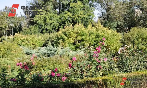 Обращение к Дмитрию Махонину о поддержке для Ботанического сада ПГНИУ-0