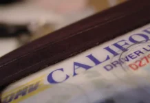 Оптимистичный взгляд на вопросы водительских прав в Калифорнии и Дональда Трампа optimistichnyj vzglyad na voprosy voditelskih prav v kalifornii i donalda trampa-news-blog-ru-0