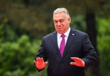 Орбан ответил на высказывания Путина о Закарпатье и судьбе Венгрии orban otvetil na vyskazyvaniya putina o zakarpate i sudbe vengrii-news-blog-ru-0