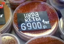 Прогноз Росрыболовства о ценах на красную икру в Петербурге к Новому году prognoz rosrybolovstva o czenah na krasnuyu ikru v peterburge k novomu godu-news-blog-ru-0