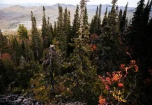 Руслан Панкратов и Оджан Наумов о поисках семьи Усольцевых у горы Буратинка ruslan pankratov i odzhan naumov o poiskah semi usolczevyh u gory buratinka-news-blog-ru-0