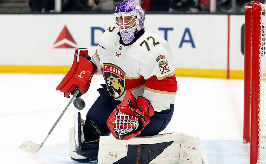 Сергей Бобровский (Ronald Martinez / Getty Images)