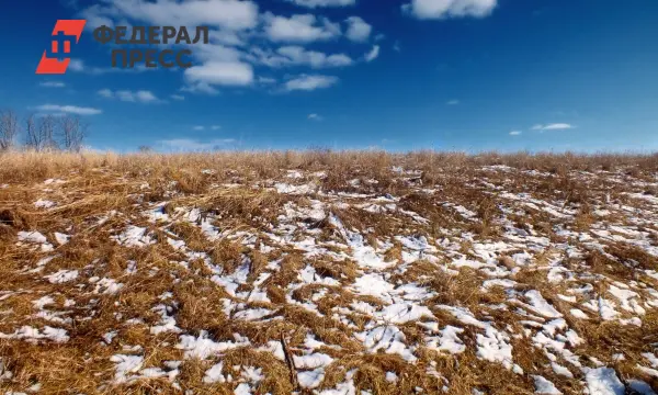 Сотрудничество МЧС и аграриев помогает Новосибирской области успешно преодолевать непогоду-0
