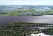 NERM стала инновационной базой данных Географического факультета МГУ stala innovaczionnoj bazoj dannyh geograficheskogo fakulteta mgu-news-blog-ru-0