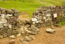 Туристы заинтересованы историей клана Маклауд и замком Ардврек в Шотландии turisty zainteresovany istoriej klana maklaud i zamkom ardvrek v shotlandii-news-blog-ru-0