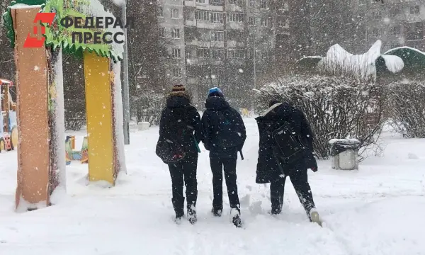 В Хабаровске полиция и Следственный комитет помогают девочке после инцидента с подростками-0