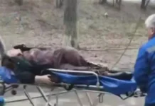 В Оренбурге обсуждают заботу о безопасности горожан и природы региона v orenburge obsuzhdayut zabotu o bezopasnosti gorozhan i prirody regiona-news-blog-ru-0