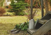 Виктор Горячев дает советы по посадке растений осенью для урожая viktor goryachev daet sovety po posadke rastenij osenyu dlya urozhaya-news-blog-ru-0