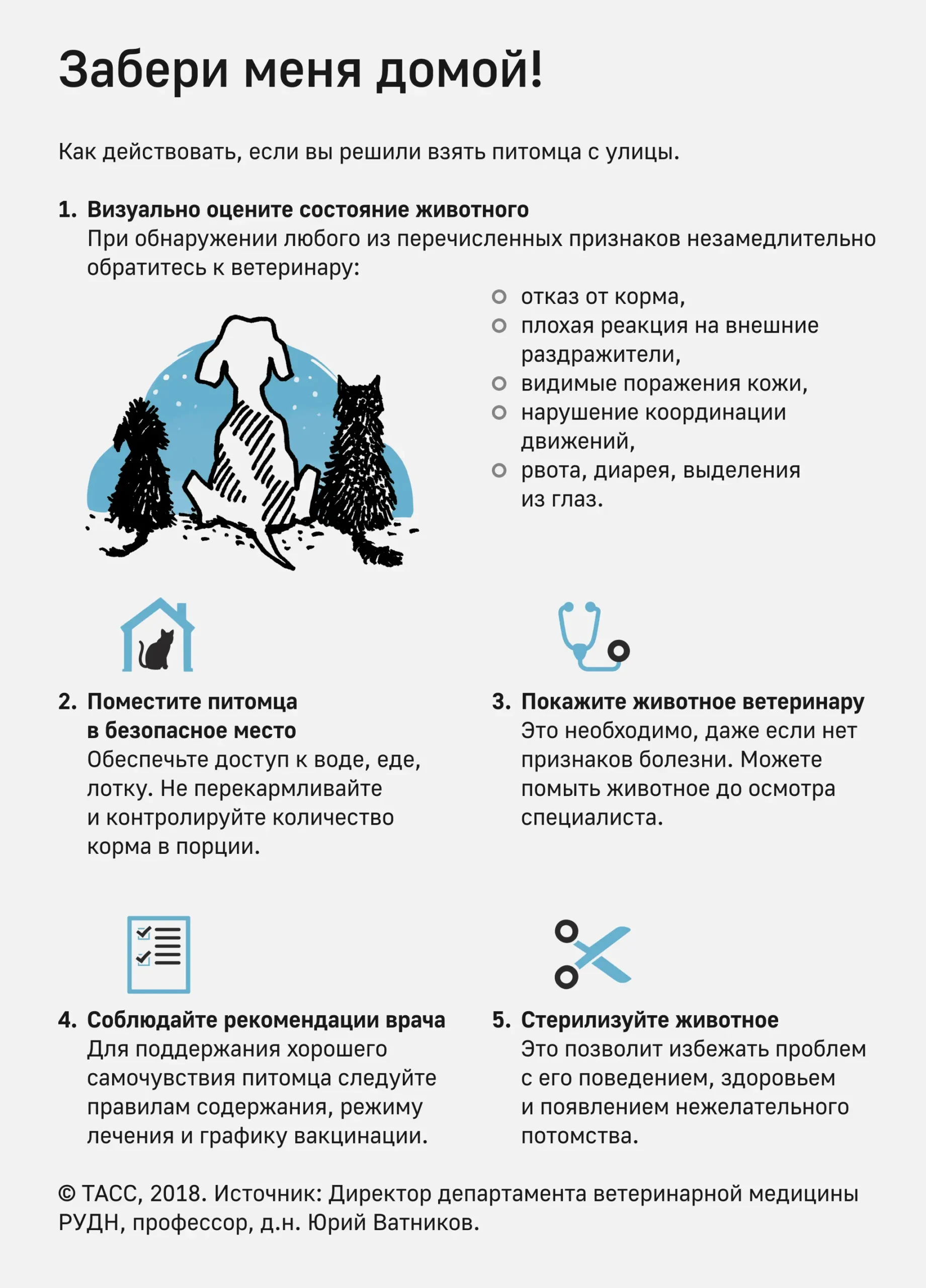 Что делать, если вы решили взять домой животное с улицы?