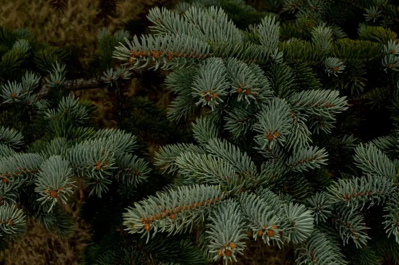 Фото: primamedia.ru