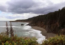 Землетрясения на Сахалине и Камчатке не нанесли вреда, сообщают исследователи zemletryaseniya na sahaline i kamchatke ne nanesli vreda soobshhayut issledovateli-news-blog-ru-0