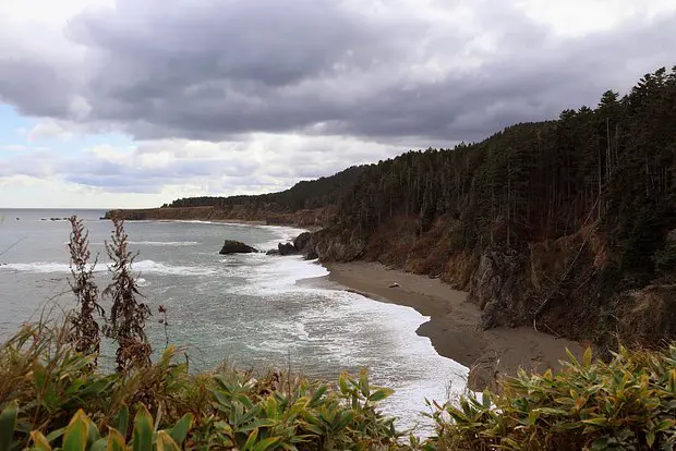 Вводная картинка