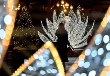 Александр Беглов рассказал о новогоднем убранстве Петербурга и мнении гостей Саммита СНГ aleksandr beglov rasskazal o novogodnem ubranstve peterburga i mnenii gostej sammita sng-news-blog-ru-0