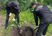 Волонтеры Алексея Вихарева преображают парк aleksei viharev sensorni sad3_news-blog