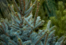 Алексей Немерюк сообщил, что в Москве завершился прием заявок на конкурс фасадов aleksej nemeryuk soobshhil chto v moskve zavershilsya priem zayavok na konkurs fasadov-news-blog-ru-0