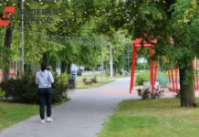 Алексей Першин и Олег Кожемяко объявили о рекордных вложениях в Приморье aleksej pershin i oleg kozhemyako obyavili o rekordnyh vlozheniyah v primore-news-blog-ru-0