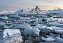 Арктический карбоновый полигон раскрывает роль Сибири и Дальнего Востока в парниковых газах arkticheskij karbonovyj poligon raskryvaet rol sibiri i dalnego vostoka v parnikovyh gazah-news-blog-ru-0