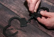 Бачана Ахалая и Михаил Саакашвили рассматривают важные события Грузии bachana ahalaya i mihail saakashvili rassmatrivayut vazhnye sobytiya gruzii-news-blog-ru-0