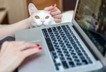 departament it i gorodskogo hozyajstva podderzhal luchshij soczialnyj proekt runeta-news-blog-ru-0