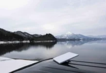 Starlink достиг миллиона пользователей за месяц благодаря Илону Маску dostig milliona polzovatelej za mesyacz blagodarya ilonu masku-news-blog-ru-0