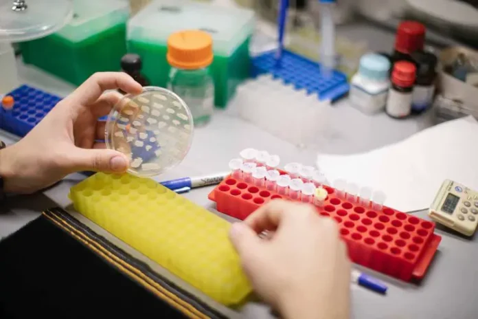 ficz biotehnologii ran predstavil potenczial amiodarona na osnove -news-blog-ru-0