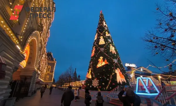 Гидрометцентр прогнозирует снежные и морозные праздники в Москве-0