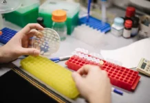 Исследования ФИЦ Биотехнологии РАН открывают новые перспективы для Ogataea parapolymorpha и амиодарона issledovaniya ficz biotehnologii ran otkryvayut novye perspektivy dlya i amiodarona-news-blog-ru-0