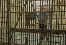 История любви Тоби Дорра и Джона Манарда, преодолевающая преграды istoriya lyubvi tobi dorra i dzhona manarda preodolevayushhaya pregrady-news-blog-ru-0