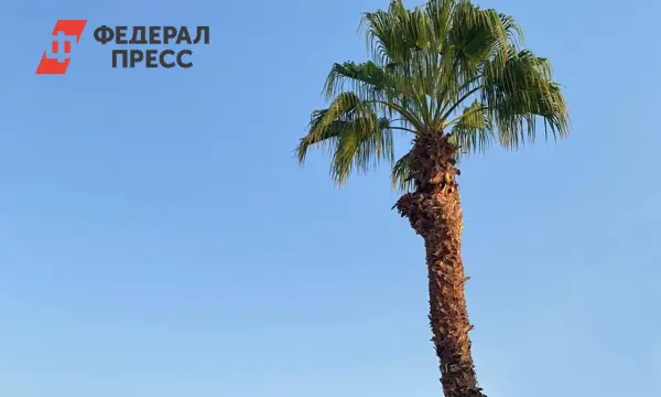 Лучшие азиатские курорты от Юли и Юрия Грушиных для побега от морозов-0