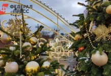 Масштабные новогодние волонтерские инициативы от РУСАЛ, Эн+, Сбербанка и FESCO masshtabnye novogodnie volonterskie inicziativy ot rusal en sberbanka i -news-blog-ru-0