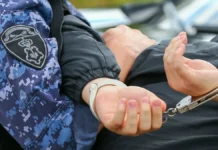 МВД России под руководством Ирины Волк обезвредило кибермошенников, укравших 20 млн рублей mvd rossii pod rukovodstvom iriny volk obezvredilo kibermoshennikov ukravshih 20 mln rublej-news-blog-ru-0