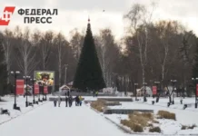 На Центральной площади Сургута установят новую елку для Нового года na czentralnoj ploshhadi surguta ustanovyat novuyu elku dlya novogo goda-news-blog-ru-0