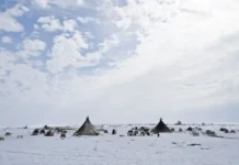 pobediteli konkursa pokazhi yamal s yamala zavoevyvayut serdcza-news-blog-ru-0