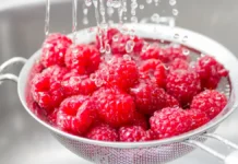 Полифенолы от Роскачества помогают замедлить процессы старения polifenoly ot roskachestva pomogayut zamedlit proczessy stareniya-news-blog-ru-0