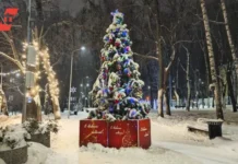Роман Бусаргин инициировал запрет на вырубку новогодних елей в Саратовской области roman busargin inicziiroval zapret na vyrubku novogodnih elej v saratovskoj oblasti-news-blog-ru-0