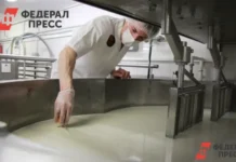 Россия увеличивает экспорт сыров и творога, лидируют Казахстан и Белоруссия rossiya uvelichivaet eksport syrov i tvoroga lidiruyut kazahstan i belorussiya-news-blog-ru-0