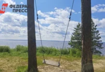 Сахалинская область и семь регионов России развивают инициативу Путина sahalinskaya oblast i sem regionov rossii razvivayut inicziativu putina-news-blog-ru-0