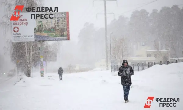 Сильные морозы и снегопады ожидаются в Сибири и Томске этой зимой-0