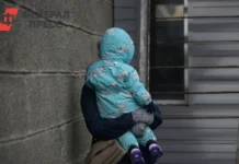 Служба судебных приставов Псковской области продолжает эффективно взыскивать алименты sluzhba sudebnyh pristavov pskovskoj oblasti prodolzhaet effektivno vzyskivat alimenty-news-blog-ru-0